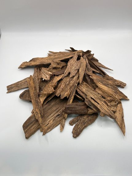 ندوسي غابات