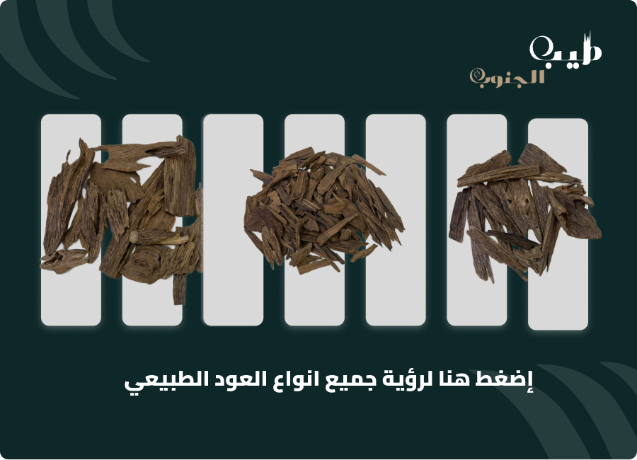 العود الطبيعي الأصلي