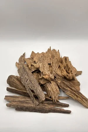 عود ارياني حي صفائح