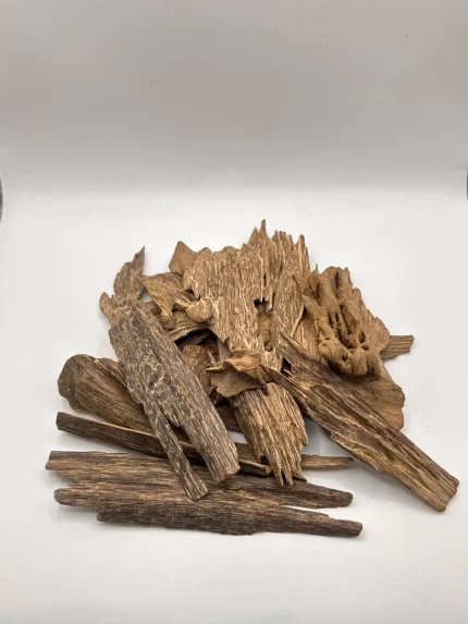 عود ارياني حي صفائح