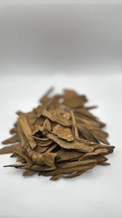 عود جابورا دبل سوبر