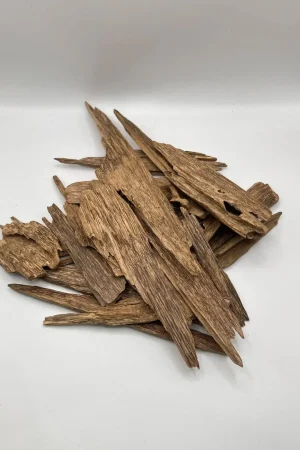 عود سومطري أصلي طبيعي