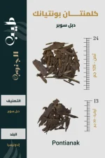 عود كلمنتان بونتيانك طبيعي