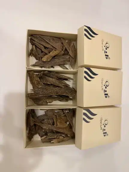 عود كلمنتان بونتيانك طبيعي