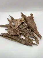 عود كلمنتان بونتيانك طبيعي