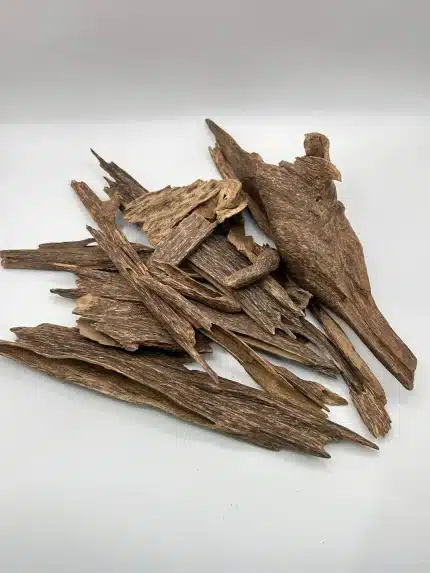 عود كلمنتان بونتيانك طبيعي