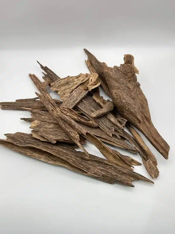 عود كلمنتان بونتيانك طبيعي