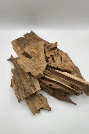 عود مروكي حي أصلي كينج