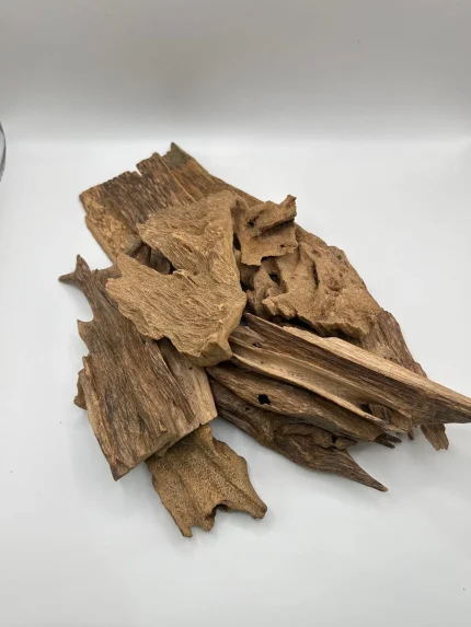 عود مروكي حي أصلي كينج