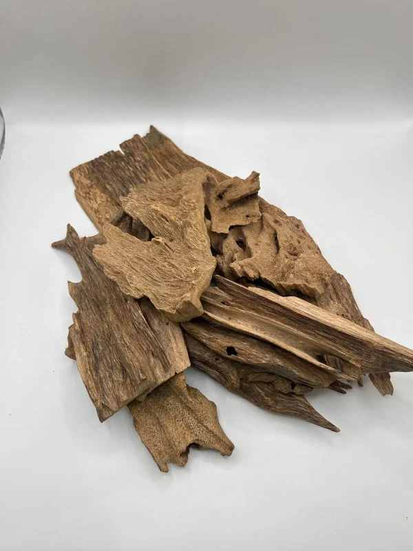 عود مروكي حي أصلي كينج