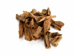 عود ندنوسي غابات